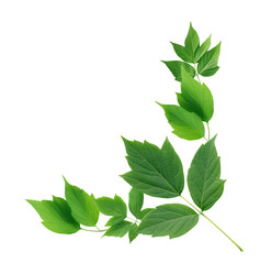 Similar image 11472049