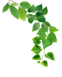 Similar image 11472066