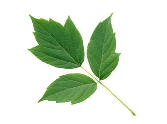 Similar image 11472068