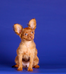 Similar image 11472005