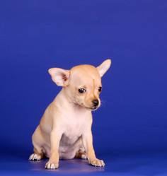 Similar image 11472007