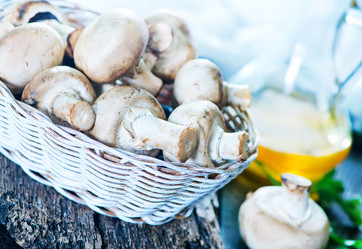 Similar image 11476631