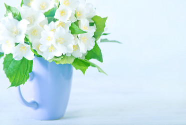 Similar image 11476801