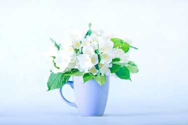 Similar image 11476822