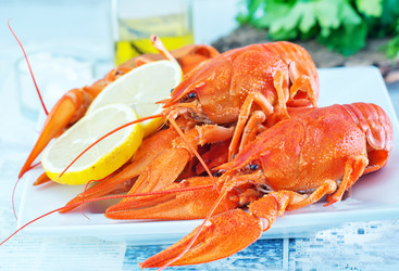 Similar image 11475878