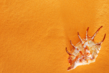 Similar image 11475932