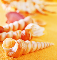 Similar image 11475958