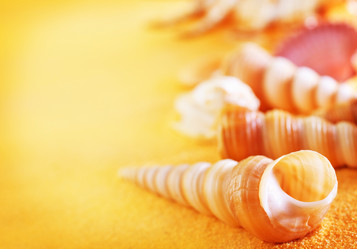 Similar image 11476284