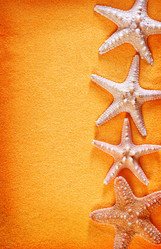 Similar image 11475518