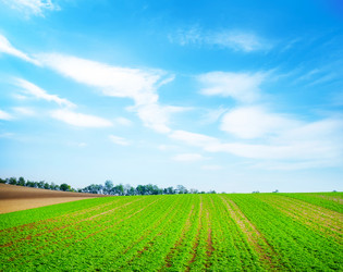 Similar image 11475539