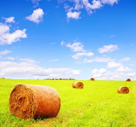 Similar image 11475553