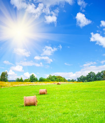 Similar image 11475555