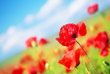 Similar image 11475559