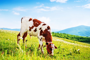 Similar image 11475575