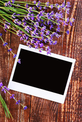 Similar image 11475882