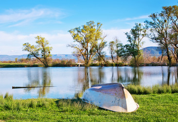 Similar image 11475919