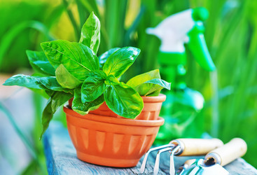 Similar image 11475943