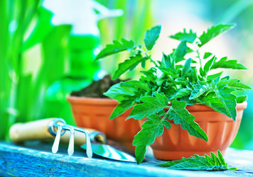 Similar image 11475952