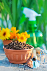 Similar image 11476288