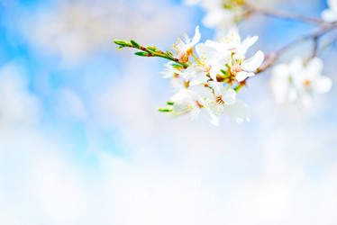 Similar image 11475504