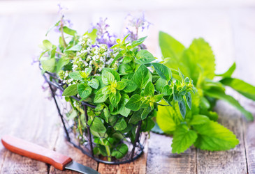 Similar image 11475905