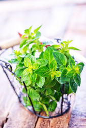 Similar image 11475930