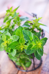 Similar image 11475946