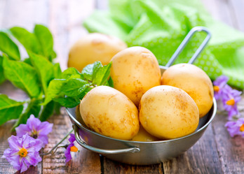 Similar image 11475970