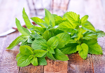 Similar image 11476953