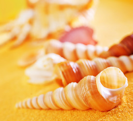 Similar image 11475641