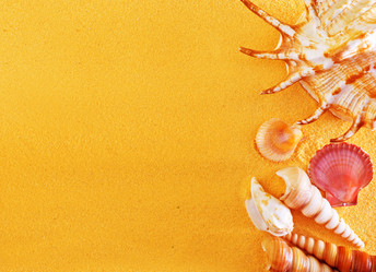 Similar image 11475643