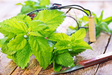 Similar image 11475699