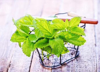 Similar image 11475700