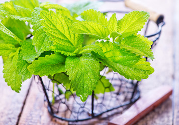 Similar image 11475701