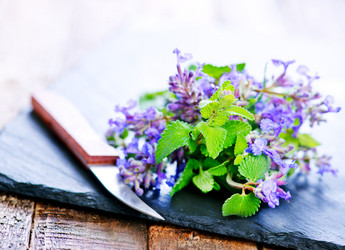 Similar image 11476637