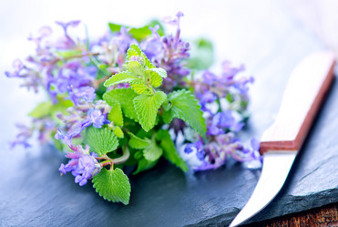 Similar image 11476638