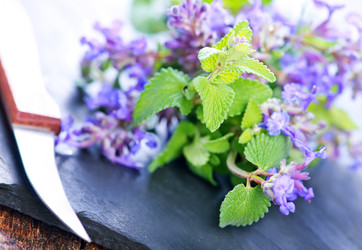 Similar image 11476653