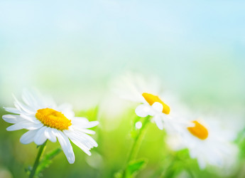 Similar image 11476711