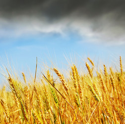 Similar image 11476850