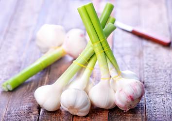 Similar image 11476906