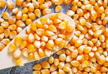 Similar image 11476721