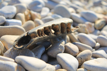 Similar image 11472262