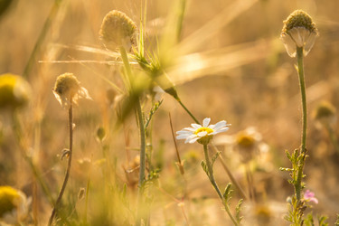 Similar image 11472263