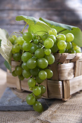 Similar image 11471754