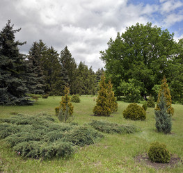 Similar image 11474155