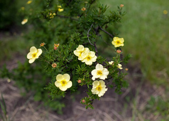 Similar image 11474156