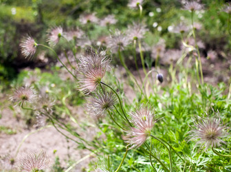 Similar image 11474157