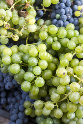 Similar image 11472017