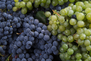 Similar image 11472018