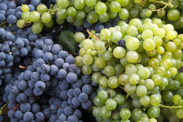 Similar image 11472019